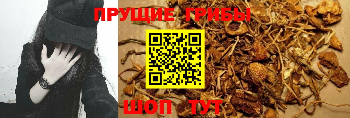 Галлюциногенные грибы Magic Shrooms Архангельск