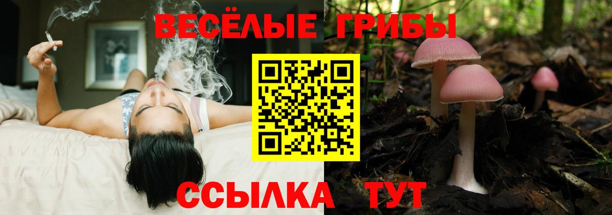 Архангельск  магазин продажи наркотиков  Вход с VPN  Галлюциногенные грибы MAGIC MUSHROOMS 